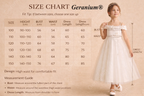 Geranium 2-in-1 Off-the-Shoulder Flower Girl Dress with 3D Floral Appliques & Tulle Skirt KD-233