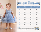 Geranium Elegant Sky Blue Tulle Flower Girl Dress - Ruffled Tiered Lace Party Gown for Toddlers & Infants KD-49