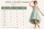 Geranium Sage Green 3D Floral Applique Flower Girl Dress - High-Low Tulle Skirt with Detachable Bow KD-269