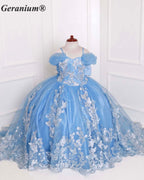 Geranium Couture Light Blue 3D Butterfly Tulle Pageant Ball Gown with Royal Train KD-380