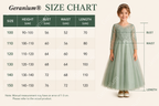 Geranium Sage Green Lace Applique Long Sleeve Flower Girl Dress - Heart Cut-out Back Tulle Princess Gown KD-289
