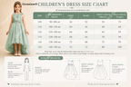 Geranium 3D Floral Applique Sage Green Flower Girl Dress - High-Low Tulle Ball Gown with Satin Bow KD-91