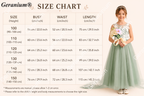 Geranium Enchanting Sage Green Tulle Flower Girl Dress with Floral Appliqués & Grand Bow Train KD-180