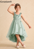 Geranium Sage Green 3D Floral Applique Flower Girl Dress - High-Low Tulle Skirt with Detachable Bow KD-269